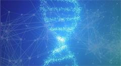 传统资本主动拥抱区块链  有序的区块链应用生态正在建立