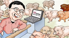 物联网养猪博眼球OR解决养猪行业痛点?