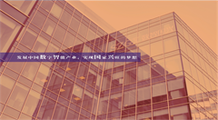 深圳市数智国兴信息科技有限公司