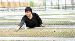 物联网助力农村经济发展