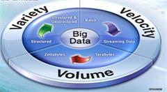 大数据破解“猪周期”，稳定养猪市场