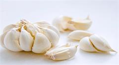 农产品触“电”只能解一时之围