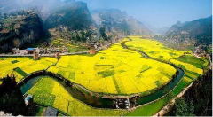 电商成农村发展新引擎