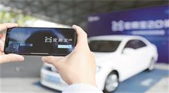 AI+车险，让你轻松定损