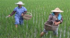 如何通俗易懂的理解“农业物联网”?