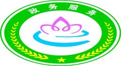 上海创造网上政务新维度,建成“一网通办”总门户