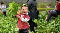 “互联网+”助力农产品大卖