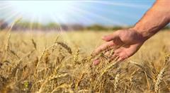 国外存储厂商能否在中国入乡随俗?