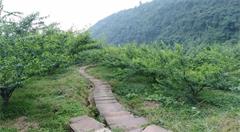 互联网+乡村创业，让乡村创业变得更简单!