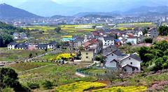 以产业电商助力乡村振兴战略