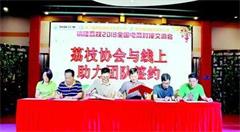 镇隆荔枝对接电商拓销路