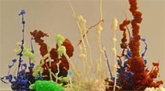 人工智能,癌症治疗,以及化学花园等都将搭乘龙飞船前往空间站