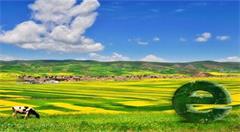 如何充分释放“互联网+农产品”的效能?