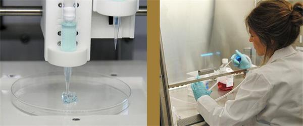 科学家成功研发出三维大脑类器官