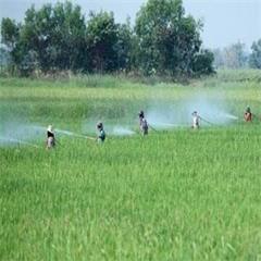 中国农田“减肥”难？浙大大数据告诉你原因