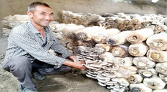 拜城县积极探索“互联网+供销”销售新渠道