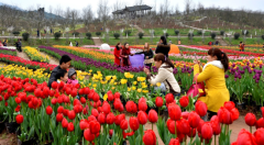 灵溪小镇运用互联网思维打造“智慧农旅”