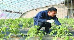 山西农业插上大数据翅膀