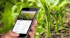 物联网是如何给农业领域带来巨大变革?