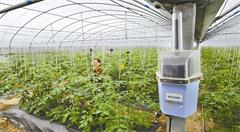 “互联网+农业”助力乡村振兴