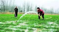 “互联网+农业”助力乡村振兴