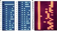 存储能力是现有硬盘的1000倍!原子存储效果逆天,为什么没人用
