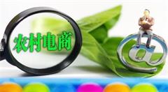 互联网带着特产飞电商精准扶贫的探索和实践