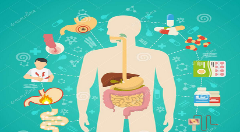 华点云首批签约入驻HGBC 基因价值生态链