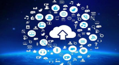 云生态系统的构成、运行与平衡协作