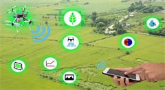 现代农业是不是"互联网+"就有销路能赚钱了?!