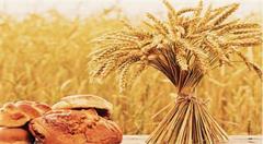 农业大数据助"烫手山货"飞出山乡