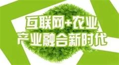 互联网金融在农村金融方面有哪些优势?