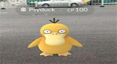 连苹果都要为AR项目做准备 小程序项目能否牵手AR?