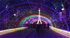 人工智能领域 国内外巨头谁更强