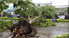 台风来袭,数据中心如何躲过一劫?