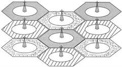 蜂窝物联网技术是什么？