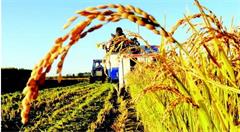 产业互联网案例:大北农实业+农信互联