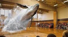 英雄联盟和周董都在用的AR技术可以了解一下