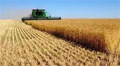 “互联网+农业”谁的荷尔蒙在飞？究竟是路，还是坑？