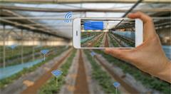 农业大数据产业前景广阔，5G将推动智慧农业革命性发展