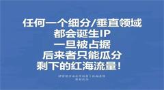 IP的出现是移动互联网时代无人能阻挡的趋势,是时代需要它!