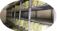 一斤冬枣线上线下相差3块多，农产品的大市场得靠电商