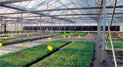 物联网时代下    我国农业发展的新方向