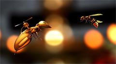 蜜蜂的社会行为适用于物联网系统
