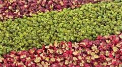 甘肃陇南:电商大发展 农民得实惠