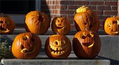 《纽约时报》推出万圣节特刊 用AR展示特殊生物的世界