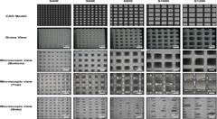 耳廓重建：荷兰研究人员3D打印软骨评估制作耳朵新方法