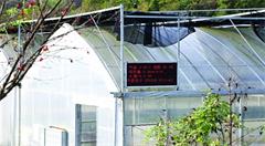 安徽移动物联网给传统农业装上最强“大脑”