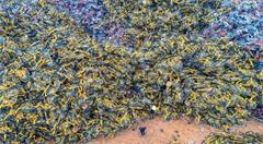 共享单车能起死回生吗？互联网+公司大量倒下，谁来为其收场？