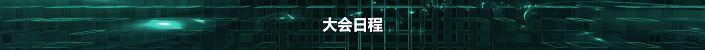 大会流程
